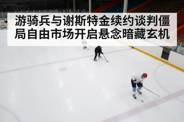 ice hockey game