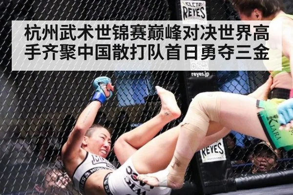 杭州武术世锦赛巅峰对决世界高手齐聚中国散打队首日勇夺三金